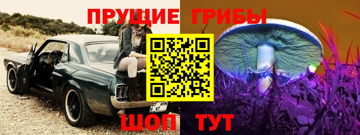 Пугачёв  Псилоцибиновые грибы ЛСД  Вход с VPN 