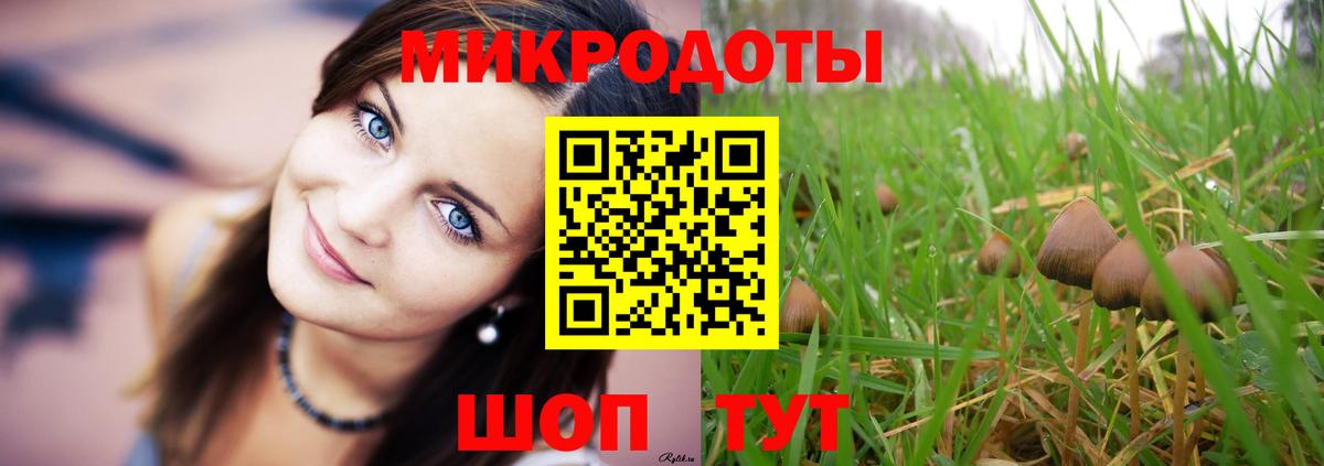Галлюциногенные грибы Magic Shrooms Пугачёв